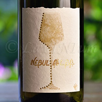 Roero Arneis Nebula Alba 2019 Luigi Vico