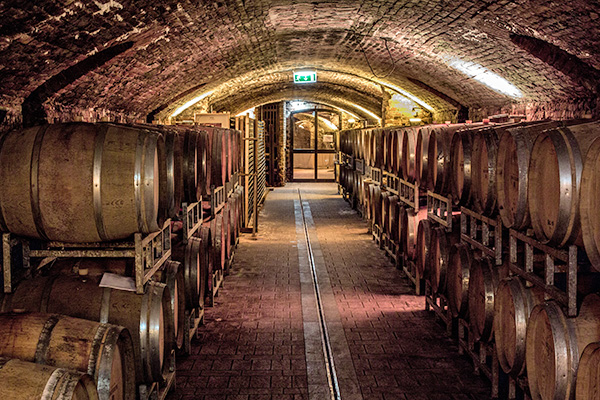 Cantina Enrico Serafino