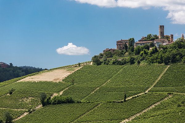 Vigneti a Serralunga