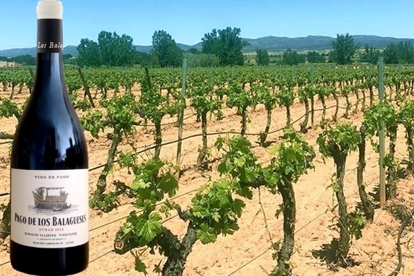 Pago de los Balagueses Syrah 2015 Rodolfo Valiente viticultor Bodegas Vegalfaro