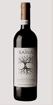 Trebbiano Spoletino 2019 Raina
