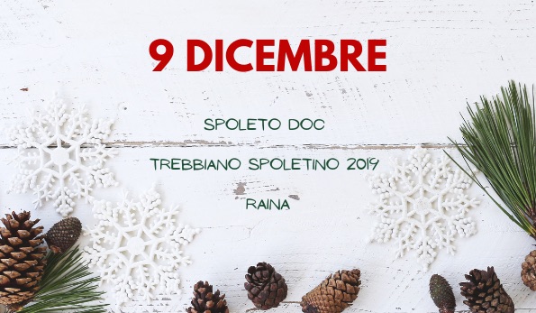 Spoleto DOC Trebbiano Spoletino 2019 Raina