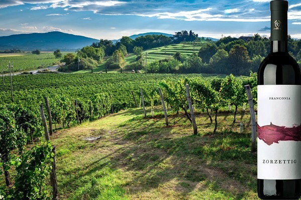 Franconia 2018 Zorzettig