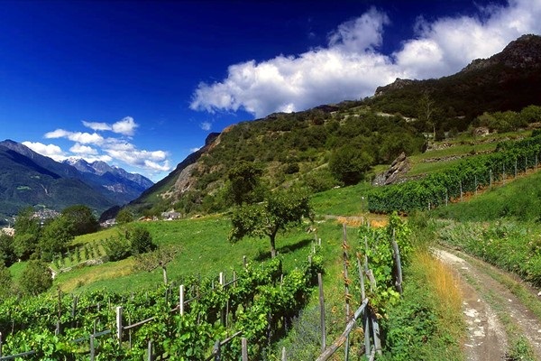 La Crotta di Vegneron