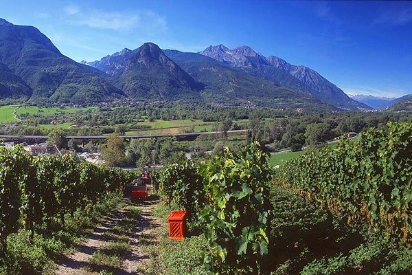Vigneti La Crotta di Vegneron