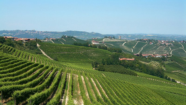 Castagnole Monferrato