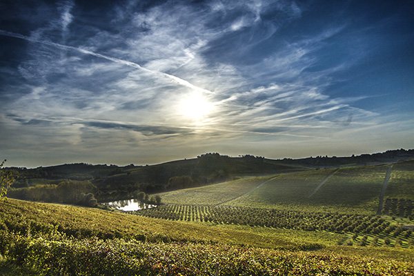 Territorio del Ruché