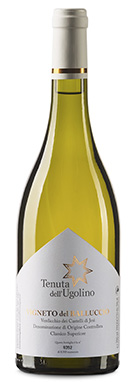 Verdicchio dei Castelli di Jesi DOC Classico Superiore Vigneto del Balluccio 2018 Tenuta dell'Ugolino
