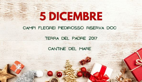 Campi Flegrei Piedirosso Terra del Padre Riserva 2017 Cantine del Mare