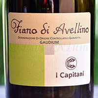 Fiano di Avellino Gaudium 2019 I Capitani