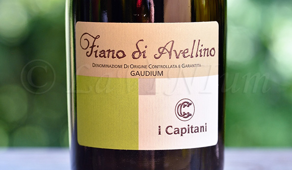 Fiano di Avellino Gaudium 2019 I Capitani