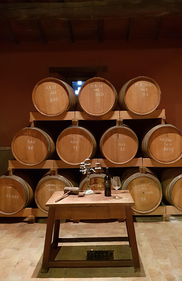 Bottaia Tenuta di Saragano