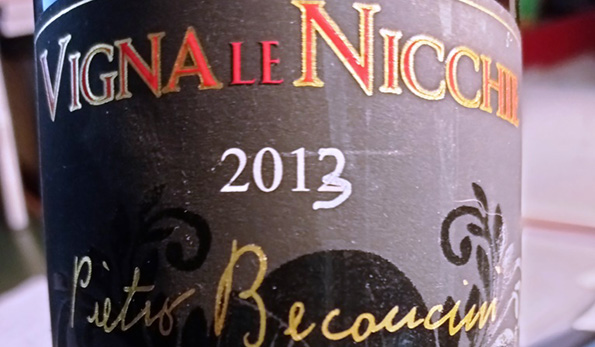 Tempranillo Vigna Le Nicchie 2013 Beconcini