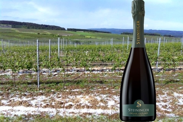 Sekt Grüner Veltliner 2016 Weingut Steininger