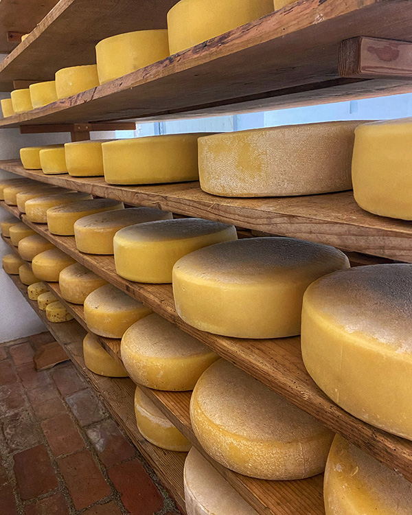 formaggi azienda Manig