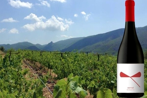 Vermell 2017 Cellar del Roure