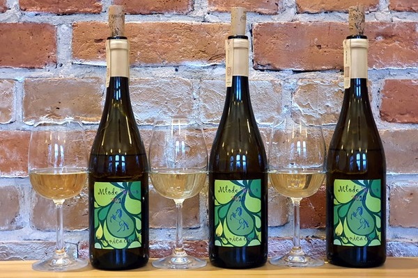 Da sinistra, Młody Gruner Veltliner 2020, Młody Karmazyn 2020 e Młody Passage 2020