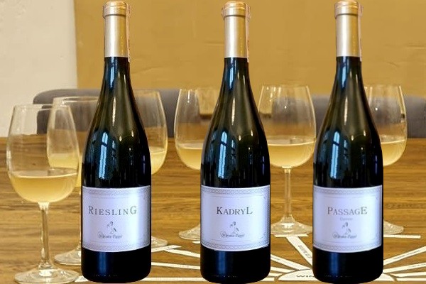 vini azienda Winnica Equus