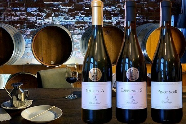 vini azienda Winnica Equus