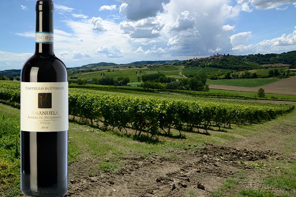 Barbera del Monferrato vivace