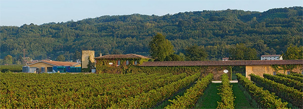 Vigneti e cantina Loredan Gasparini