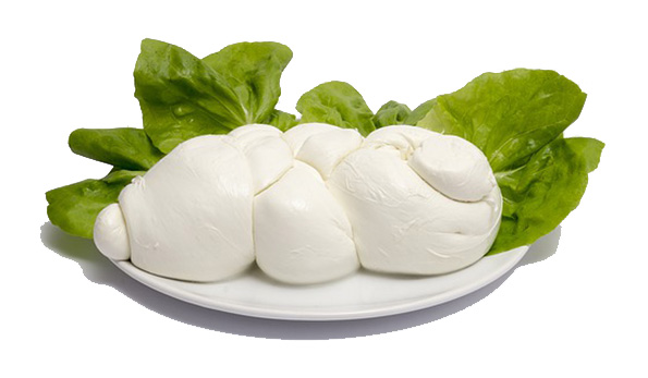 Mozzarella di Gioia del Colle DOP