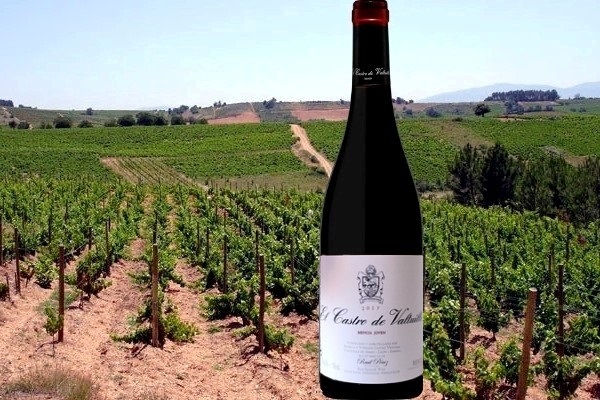 El Castro de Valtuille mencia joven 2017 Bodegas y Viñedos Castro Ventosa