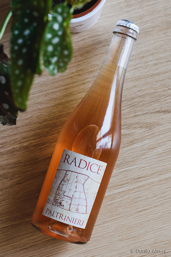 Lambrusco di Sorbara Radice, rifermentato in bottiglia, secco frizzante