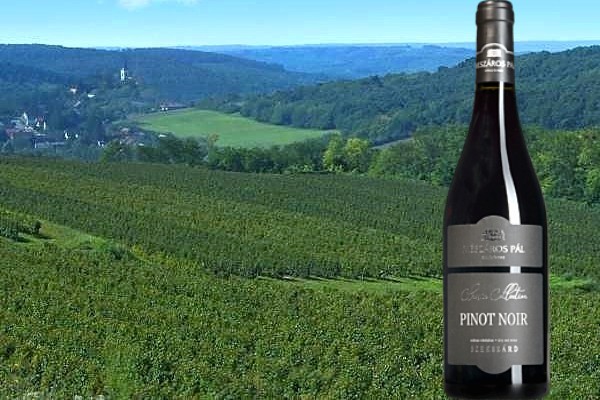 Pinot Noir Classic Collection 2019