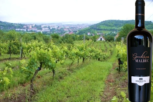 Grandiózus Malbec 2018