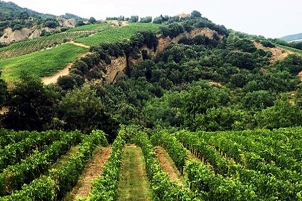 Molino di Sant'Antimo