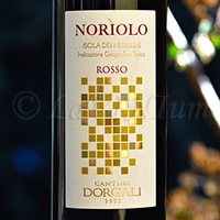 Norìolo Rosso 2017 Dorgali