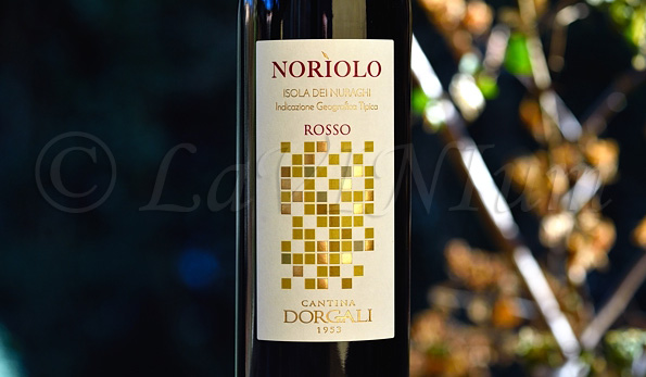 Norìolo Rosso 2017 Dorgali