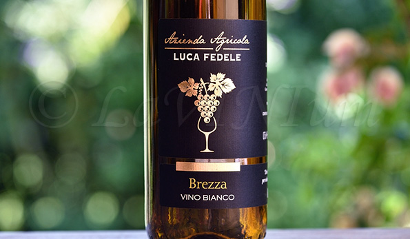 Brezza Bianco (2018) Luca Fedele