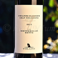 Chianti Classico Gran Selezione Vigna Montebello Sette 2015 Tolaini