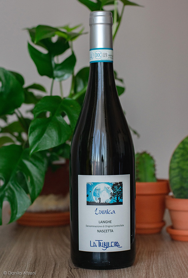 Langhe Nascetta Lunica 2019 La Tribuleira