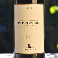 Picconero 2015 Tolaini