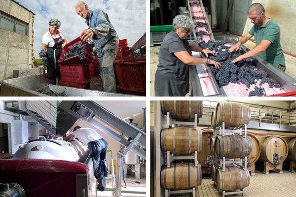 cantina Corte dei Venti