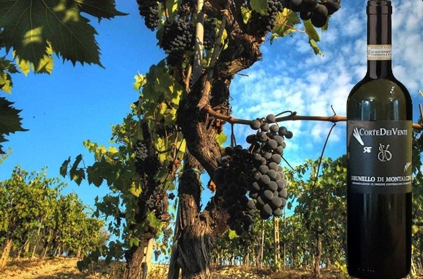 Brunello di Montalcino 2016 Corte dei Venti