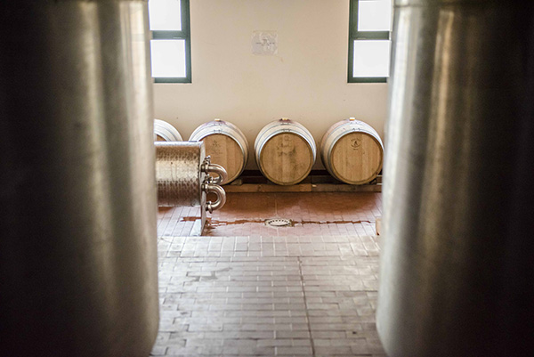 Fattoria La Leccia botti