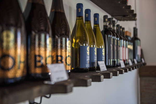 Fattoria La Leccia vini