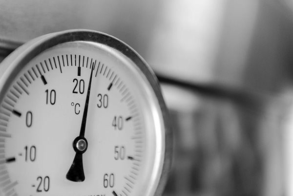 Fattoria La Leccia cantina