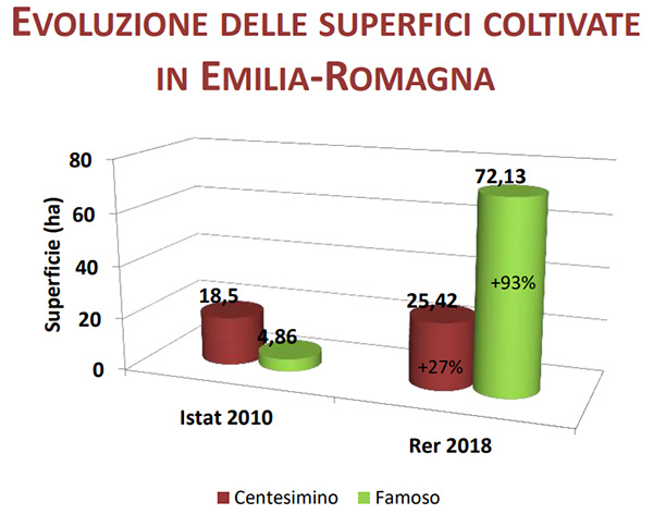 Evoluzione delle superfici vitate