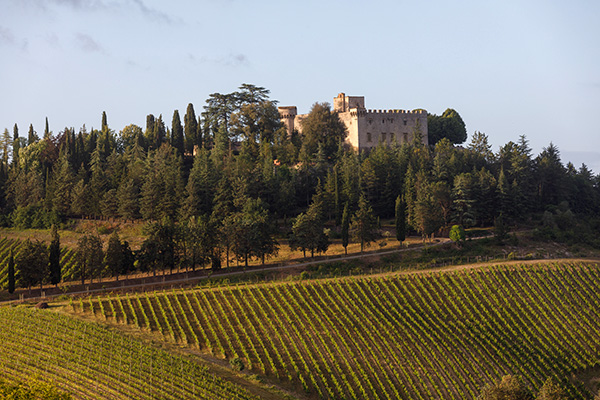 Castello di Meleto