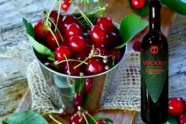 Visciola del lotto L61220 Terracruda