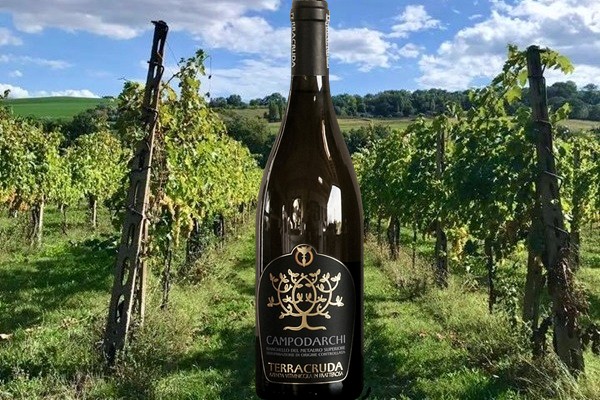 Bianchello del Metauro Superiore Campodarchi Argento 2019 Terracruda