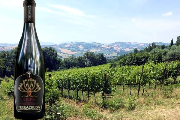 Colli Pesaresi Sangiovese Olpe Riserva 2017