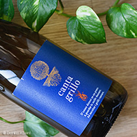 Trebbiano Cantagrillo 2017 La Leccia