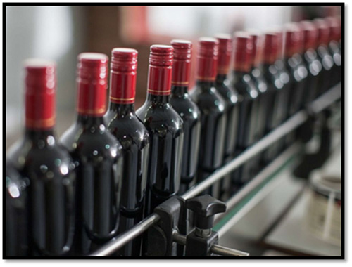 fila di vini