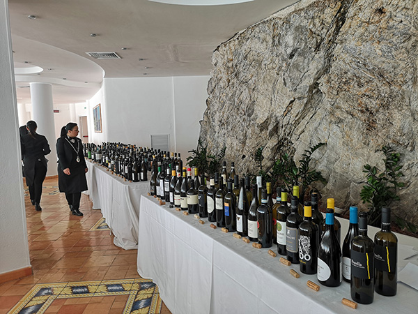 Campania Stories vini